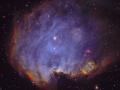 8 Aralk 2006 : NGC 2174 : Avc'daki Salma Bulutsusu
