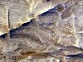 20 ubat 2007 : Mars'taki Beyaz Da Srtlar