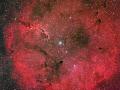 24 Aralk 2007 : Salma Bulutsusu IC 1396