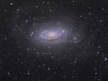 17 Nisan 2008 : Messier 63 : Ayiei Gkadas
