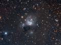 3 Ekim 2008 : NGC 7129'un Gen Yldzlar