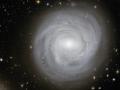 9 ubat 2009 : En Kenardaki Soluk Gkada NGC 4921