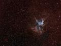 12 Mart 2009 : Thor'un Miferi (NGC 2359) ve Gezegenimsi Bulutsu
