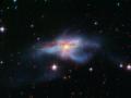 18 Haziran 2009 : NGC 6240 : Birlemekte Olan Gkadalar