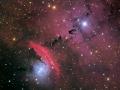 2 Austos 2009 : NGC 6559'un indeki Yldzlar, Toz ve Bulutsu