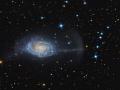 15 Nisan 2010 : NGC 4651 : emsiye Gkadas