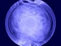4 Mays 2012 : Fermi'nin lmekleri : Yelken Atarcas'nn zledii Yol