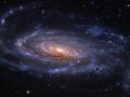 17 Austos 2012 : Sarmal Gkada NGC 5033