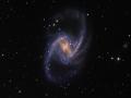 24 Kasm 2012 : NGC 1365 : Bir stnovaya Ev Sahiplii Yapan Grkemli Sarmal