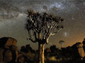 4 ubat 2013 : Namibya Geceleri