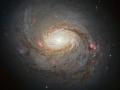 11 Mays 2013 : Messier 77