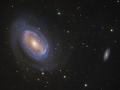 30 Mays 2013 : Tek Kollu Sarmal Gkada NGC 4725