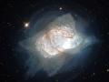 26 Austos 2013 : Hubble'n Gzyle Parlak Gezegenimsi Bulutsu NGC 7027
