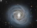 25 Kasm 2013 : Hubble'n Gzyle Kansz Sarmal NGC 4921