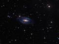 14 Mart 2014 : Kutup Halkal Gkada NGC 2685