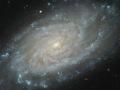 12 Ekim 2008 : Hubble'dan Sarmal Gökada NGC 3370