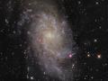 3 Aralık 2010 : M33 : Üçgen Gökadası