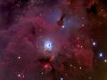 24 Şubat 2011 : NGC 1999 : Avcı'nın Güneyi