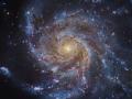 14 Haziran 2015 : M101 : Fırıldak Gökadası
